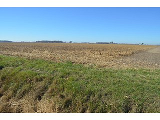Tract 2 - FARMLAND AUCTION - 165.5+/- ACRES OFFERED IN 5 TRACTS OR COMBINATIONS IN EAST ALLEN COUNTY